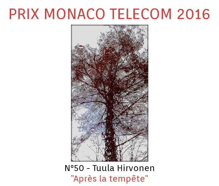 Prix Monaco Telecom